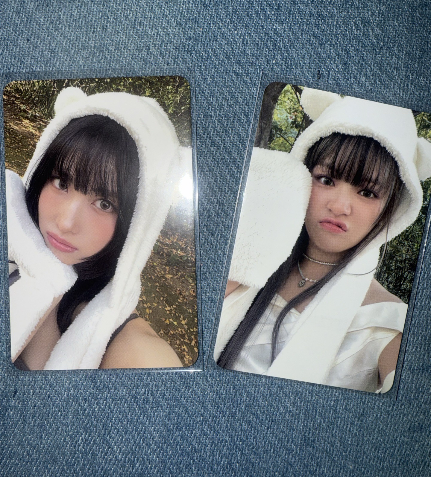 熊帽桃、熊帽定