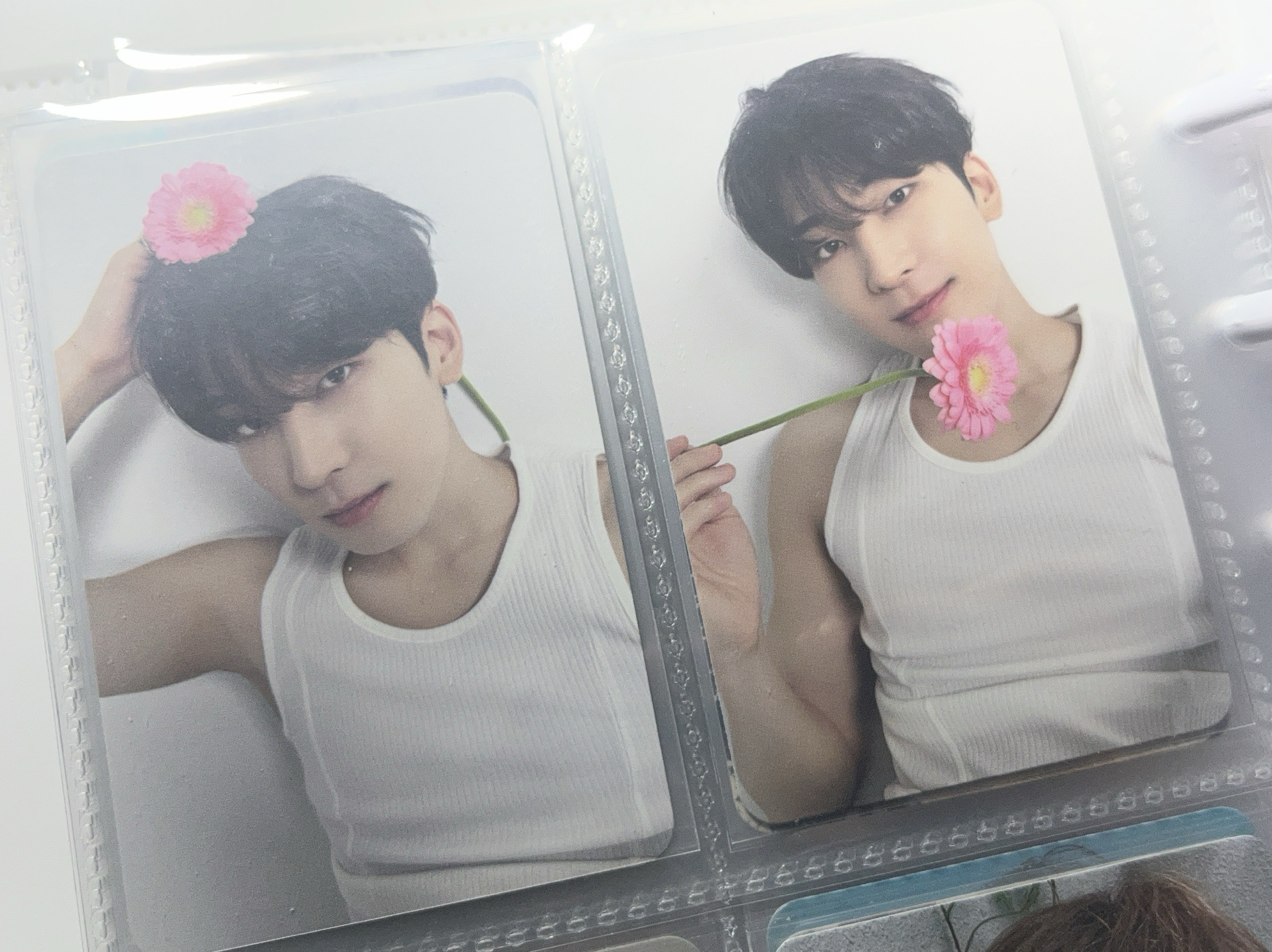 白衣圓 兩張一起售～