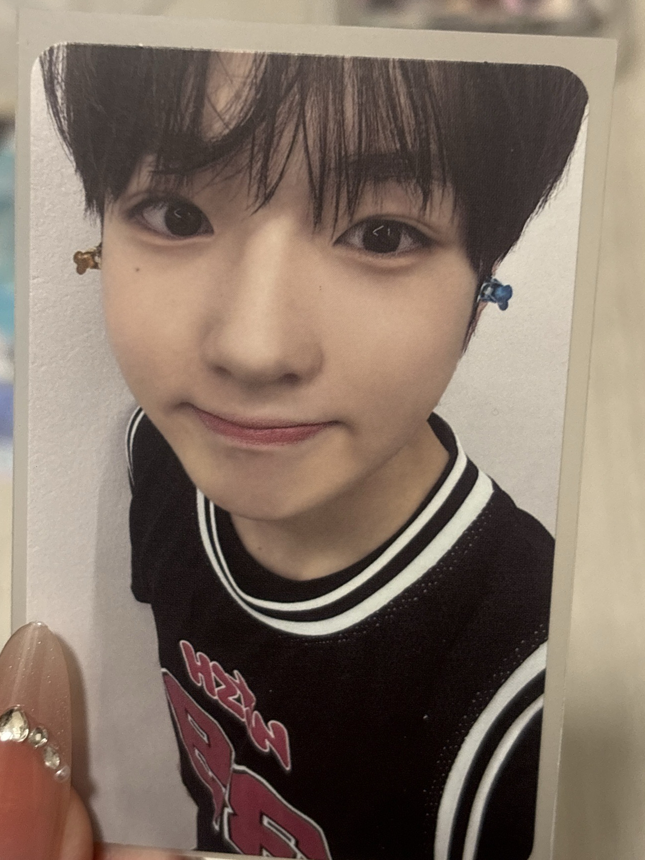 steady QR版專卡 sakuya 