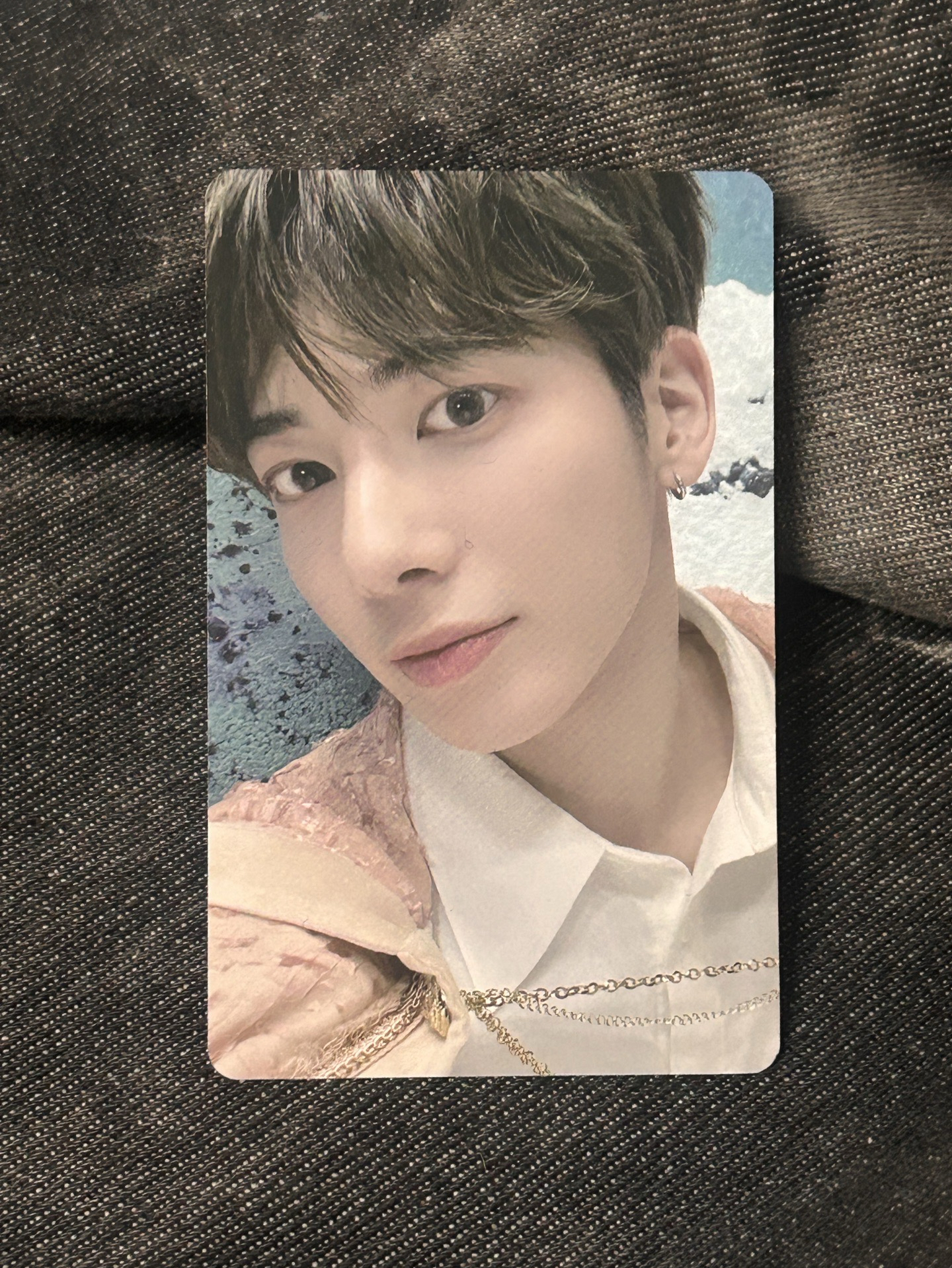 大眼萌喵🐈‍⬛ 太顯DVD卡