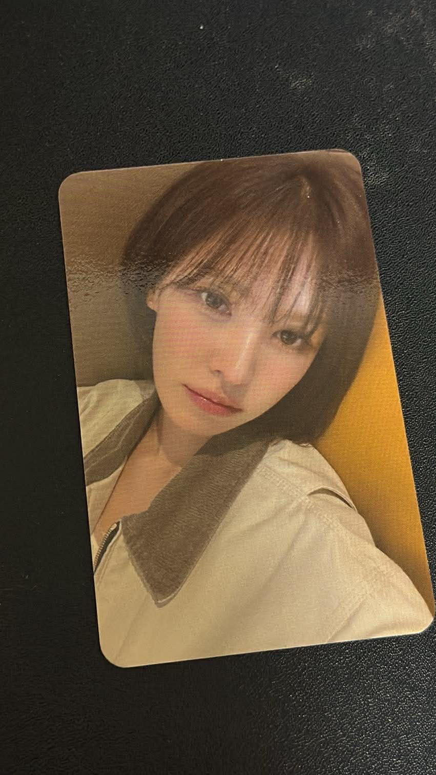 Wendy 櫻花季入場卡 🌸