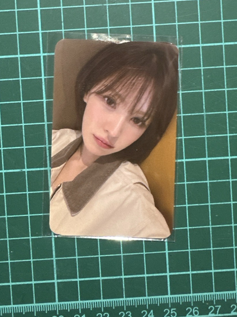 Wendy 櫻花季小卡