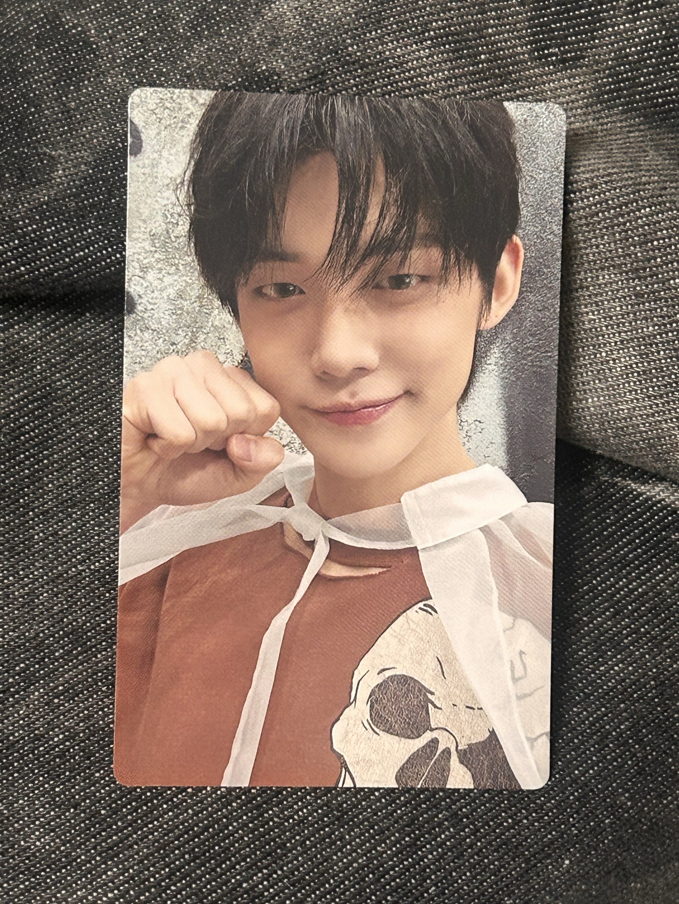 然竣 CHIKAI 環球 喵喵拳