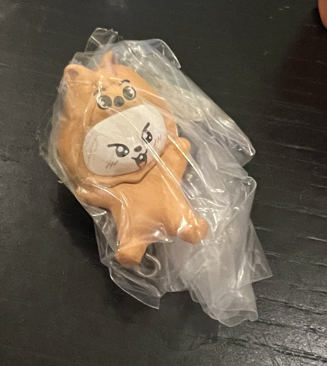 Stray kids 萬代 toy world 夾娃娃 扭蛋