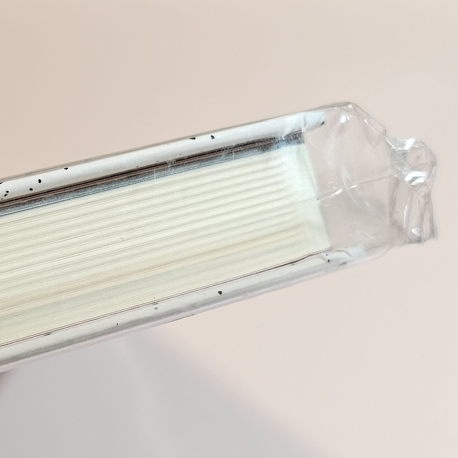 朴志訓 2026年曆 筆記本 拆出