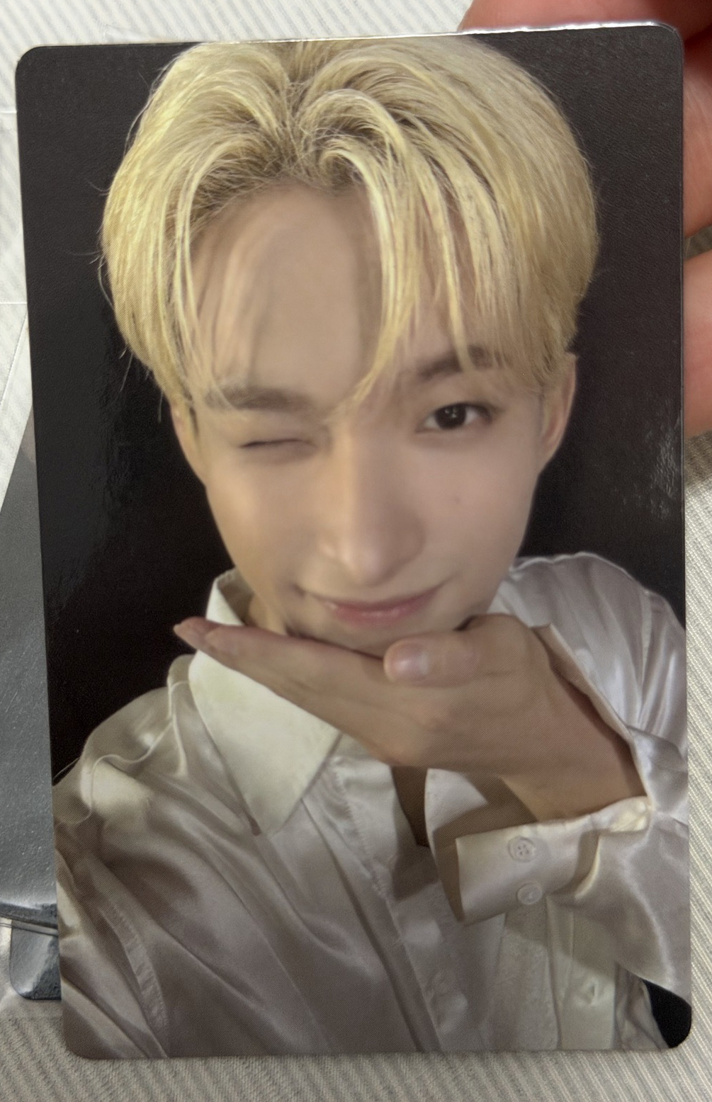 迷十二 wvs 特典卡