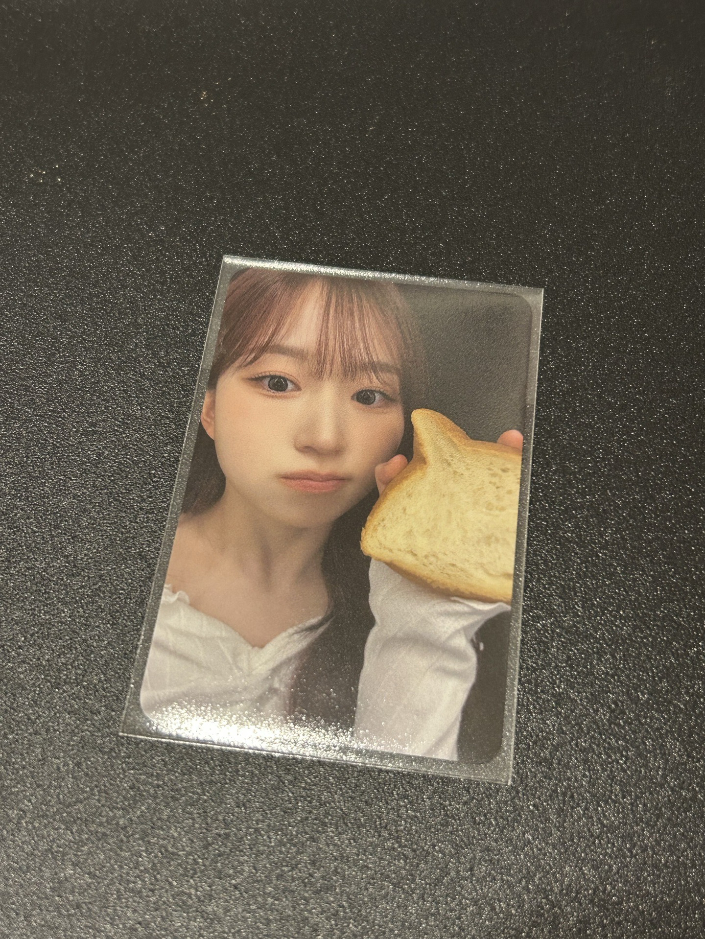 FORWARD ms 17.0 簽售卡 貓咪麵包