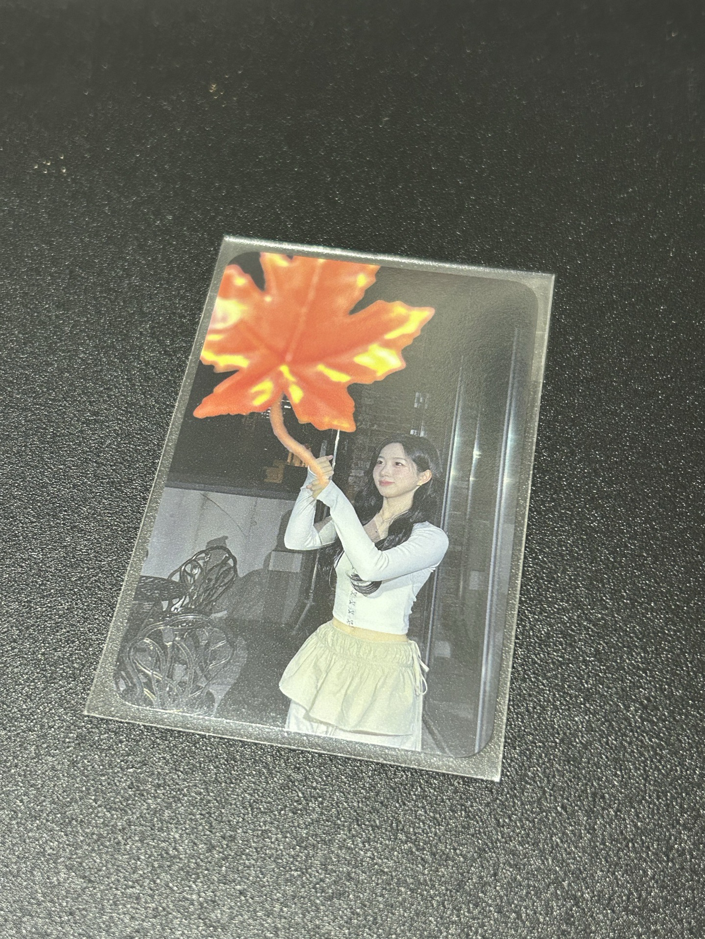 STICK OUT mmt 4.0 簽售卡 楓葉