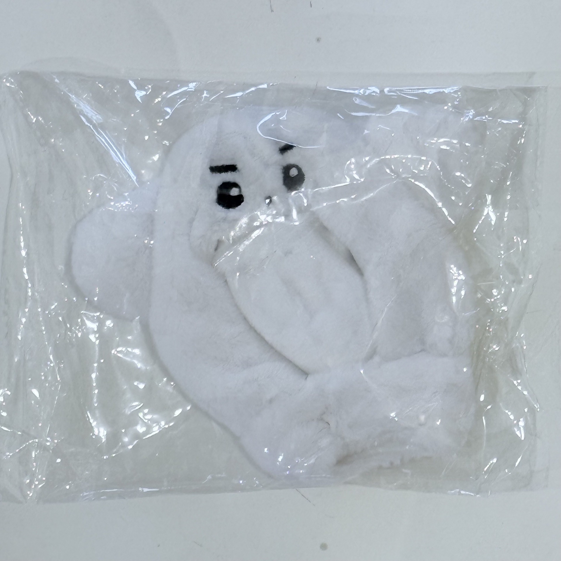 ENHYPEN 朴成訓 手燈套