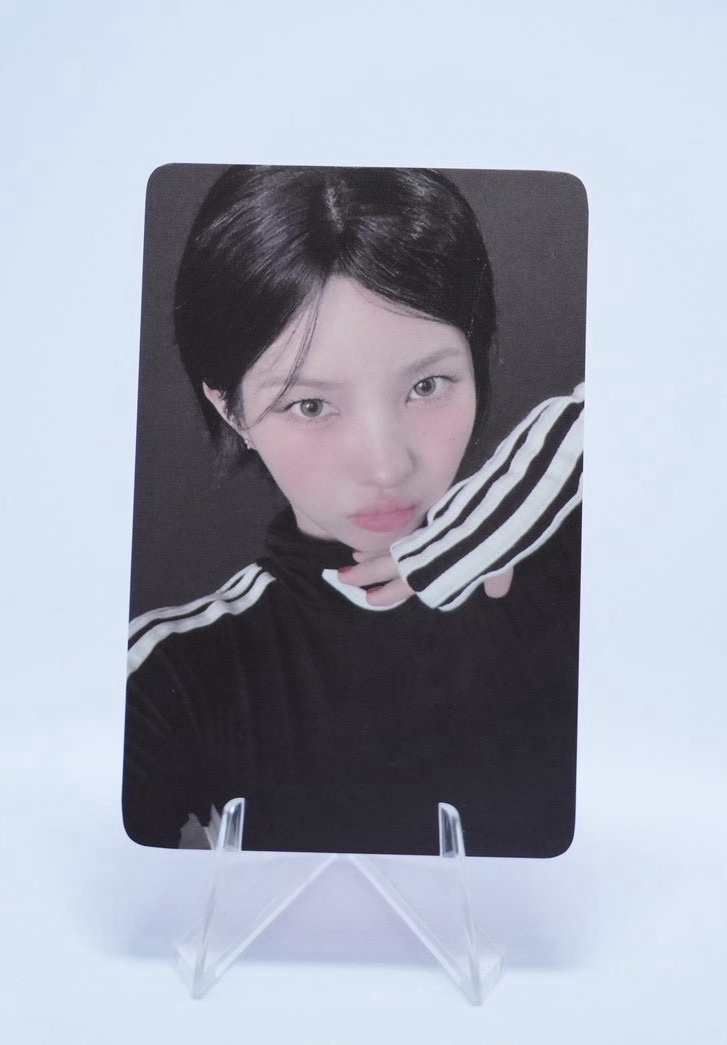 展覽快閃店 徽章組 周邊卡