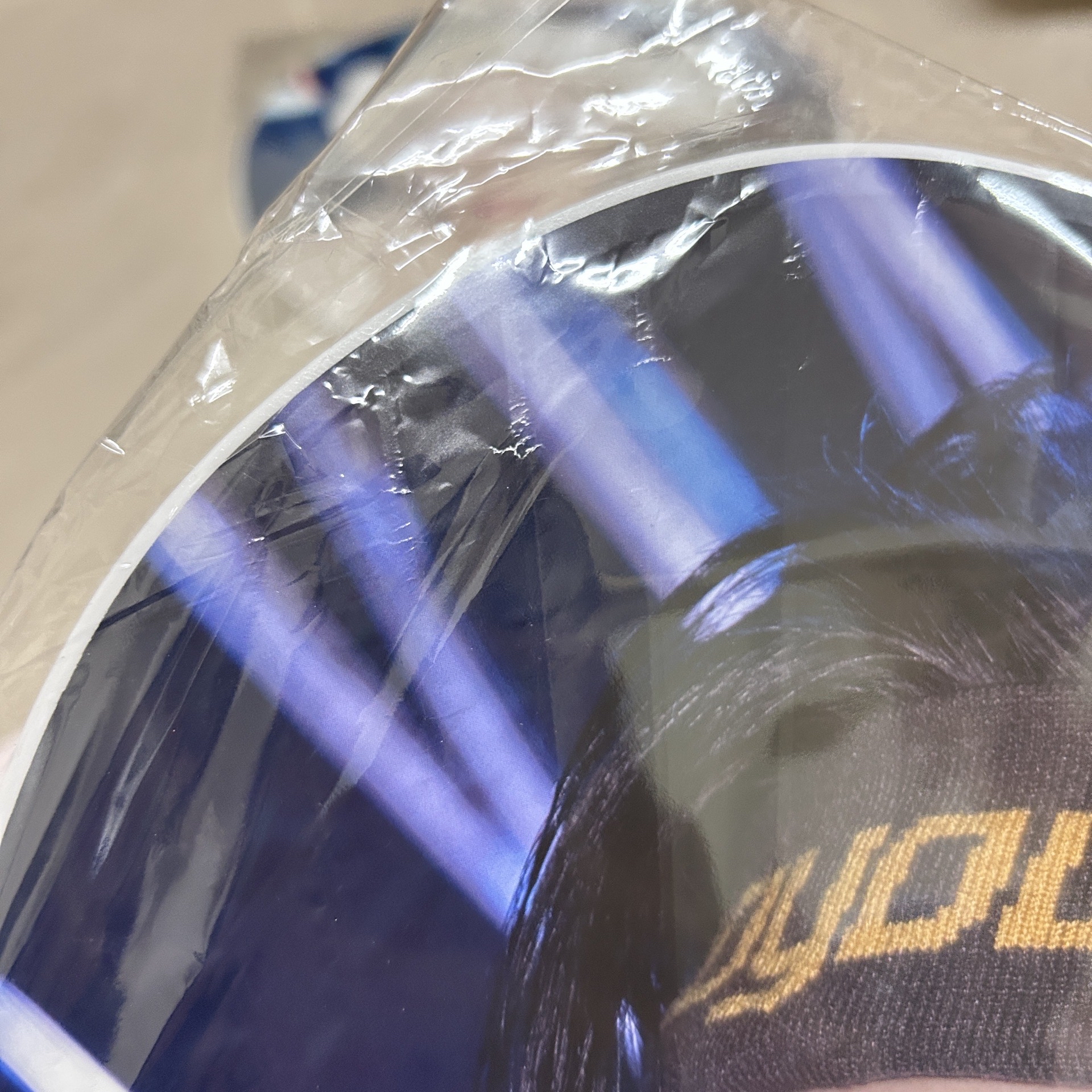 靜岡菲扇（有大損）