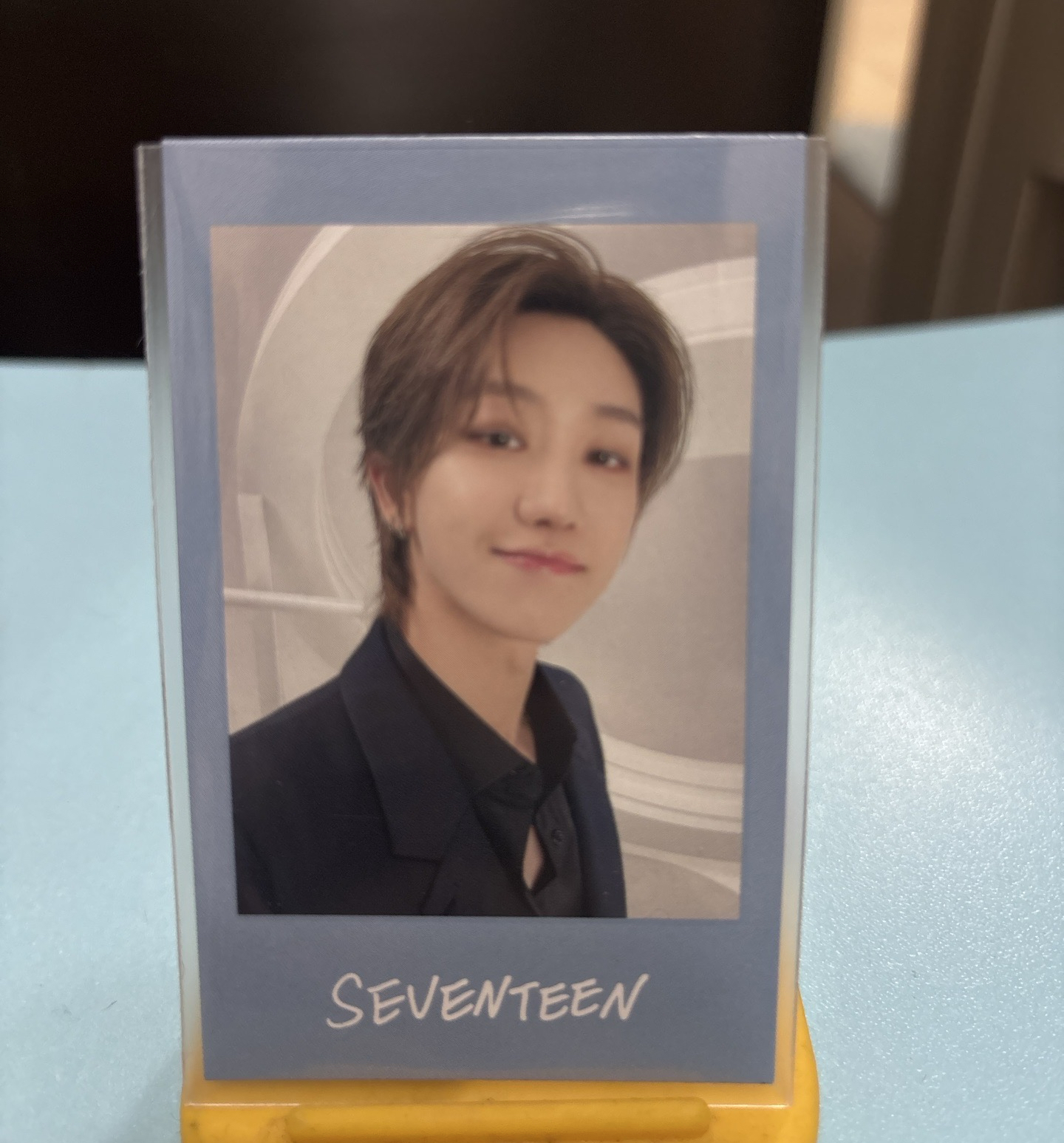 seventeen _New 日巡拍立得貼紙