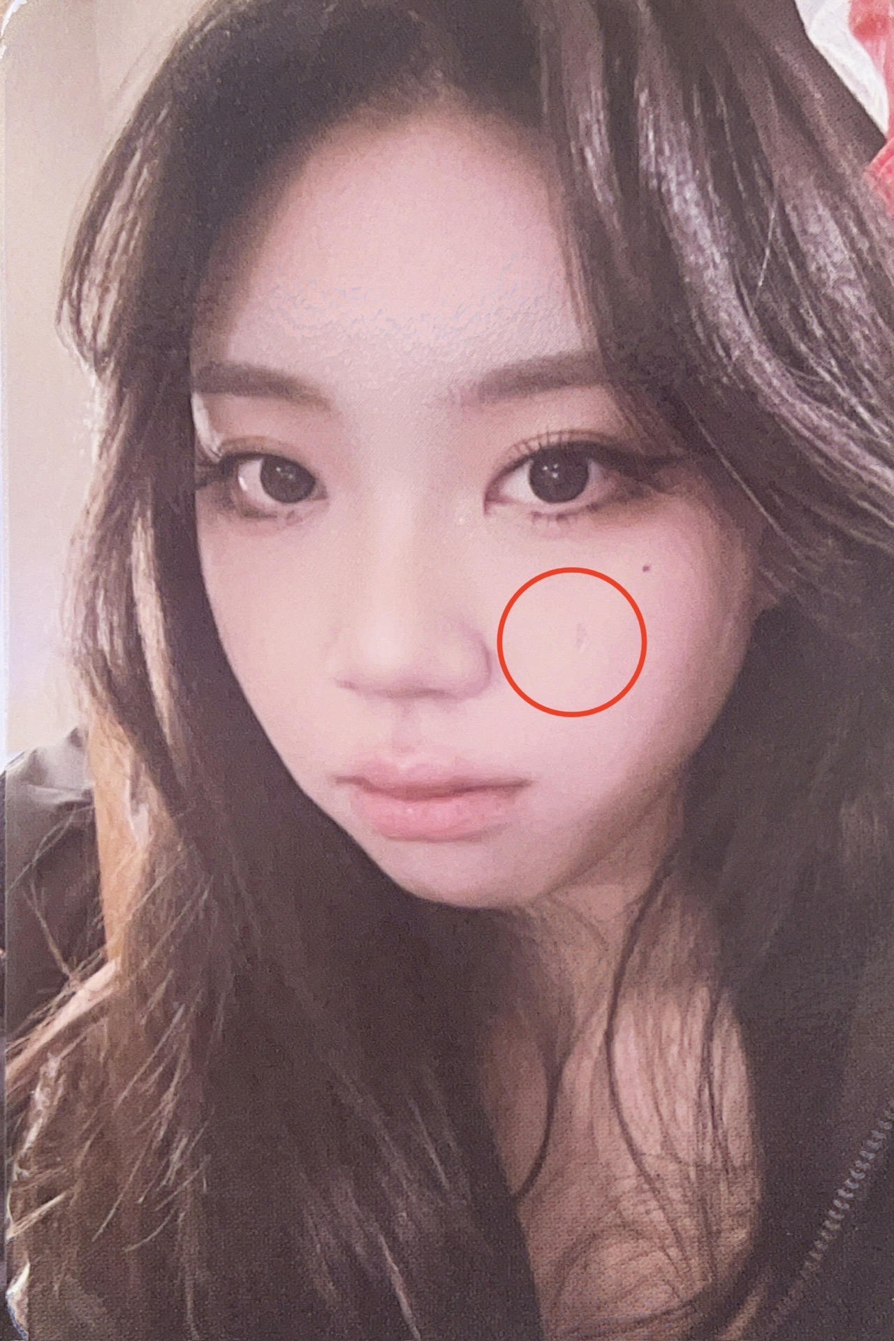 314高雄櫻花季卡