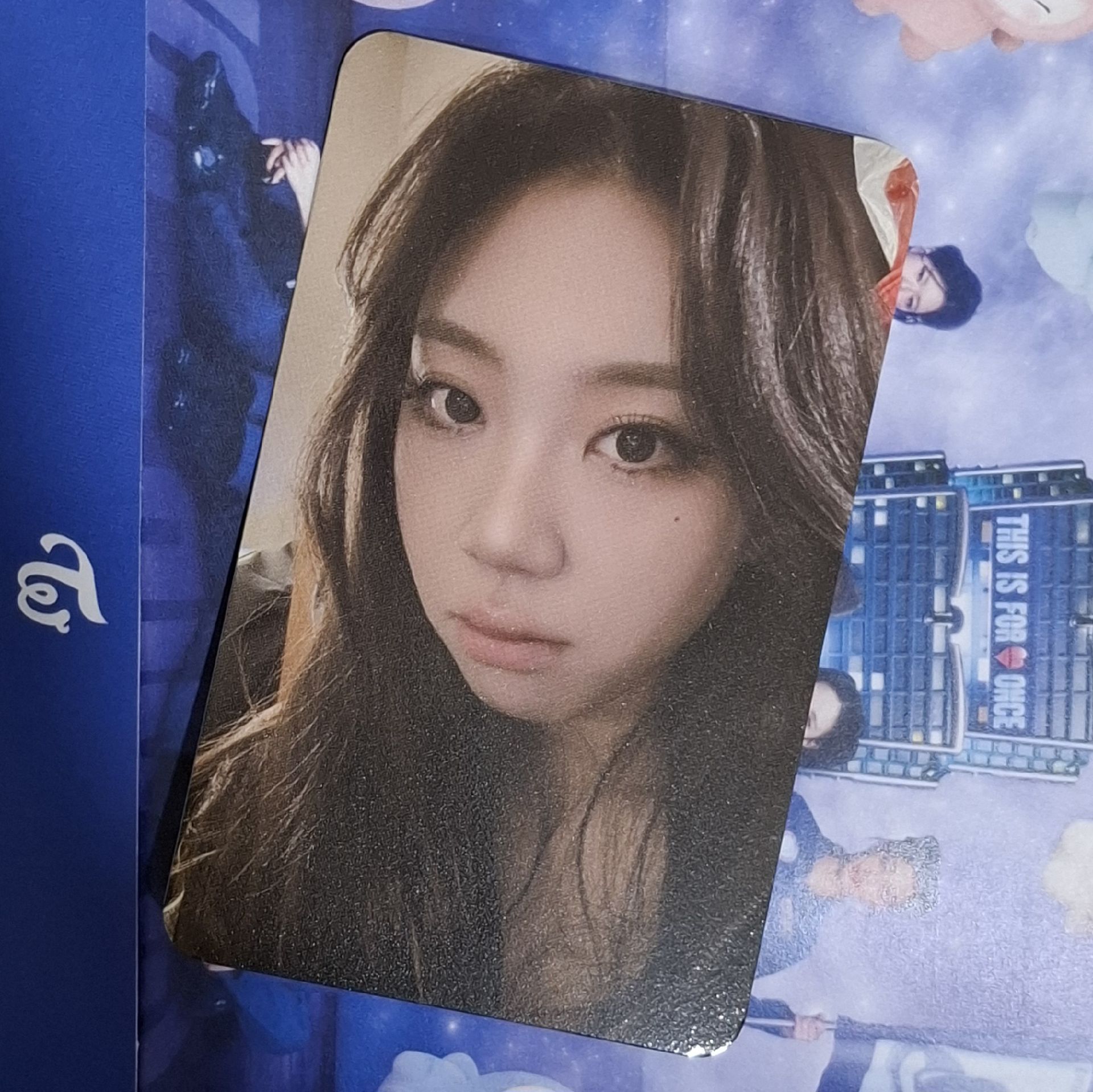 2026 櫻花季 泳知小卡