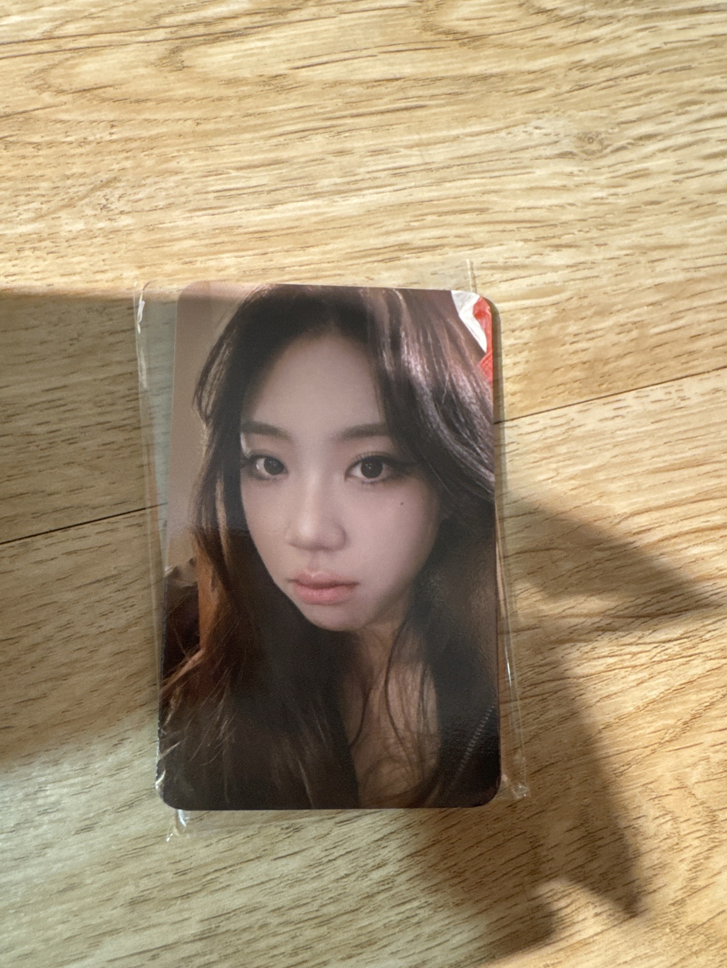 2026 高雄櫻花季 711 入場卡 / 場限卡 