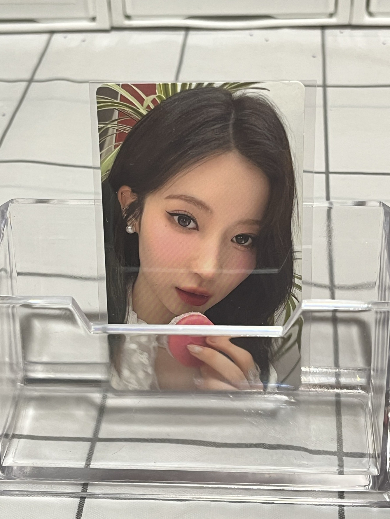 馬卡龍韓背角+台北展位塔