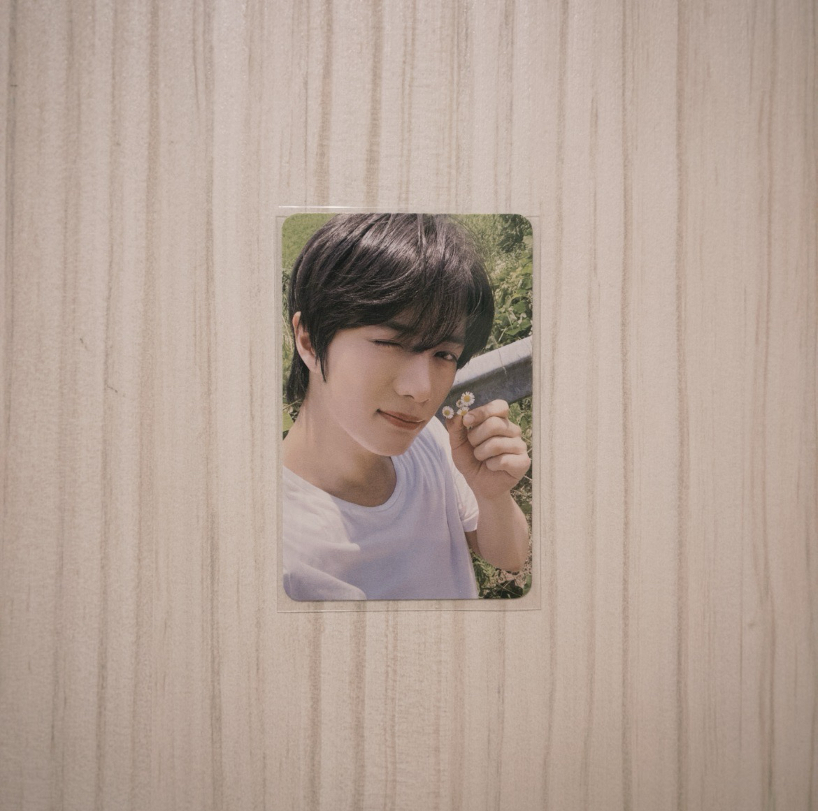 圭電子專卡B ver.