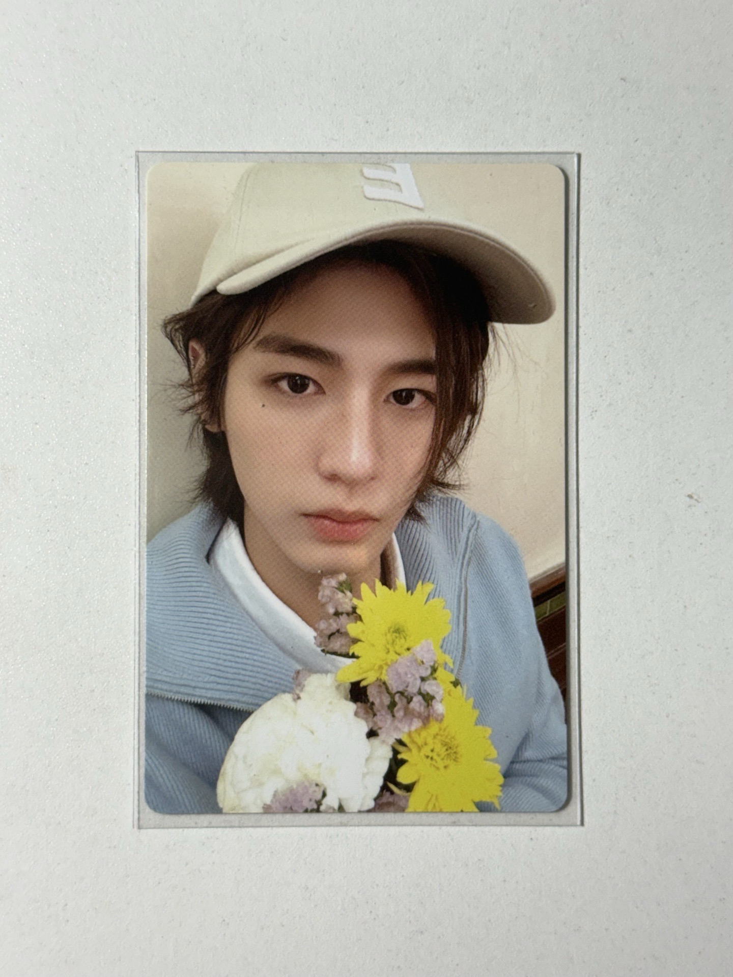 HOW 小黃花花金桐儇