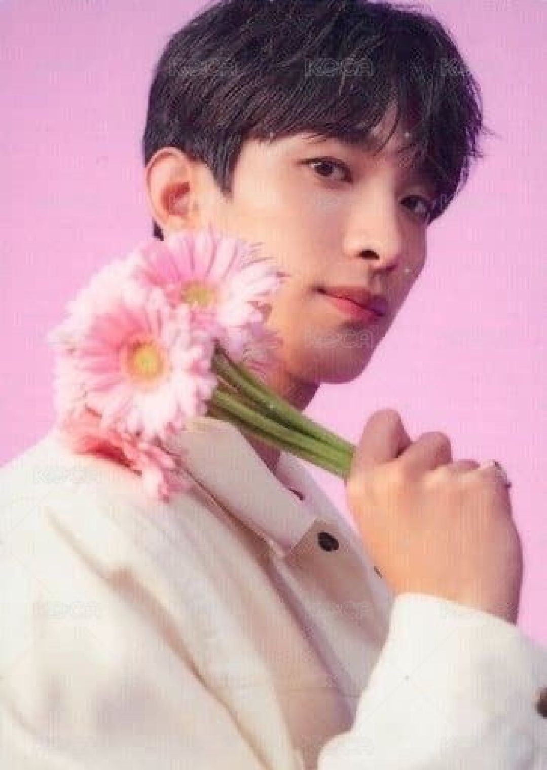 2022 hanabi隨機卡 碩