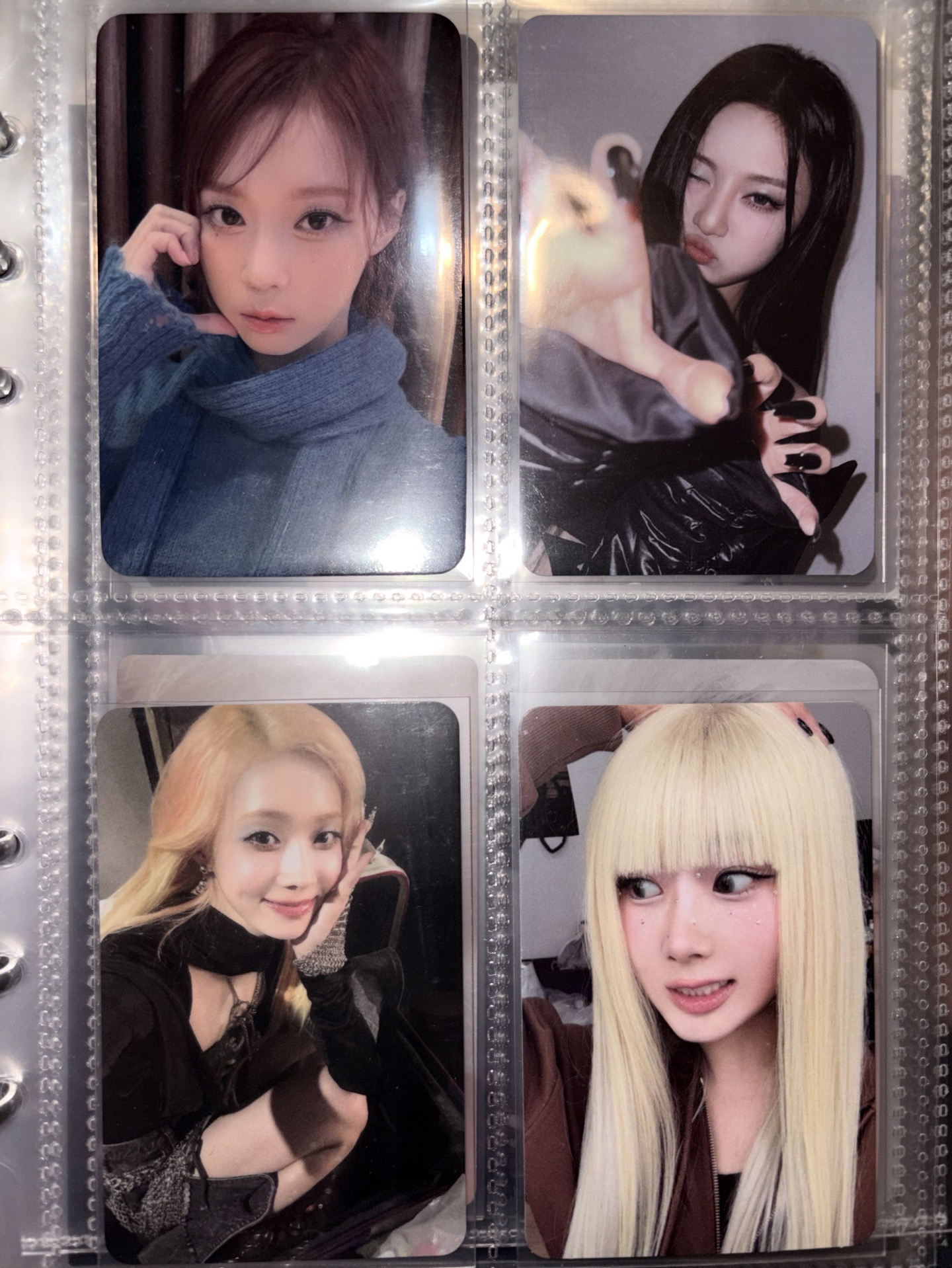 藍莓冬小小盤✨