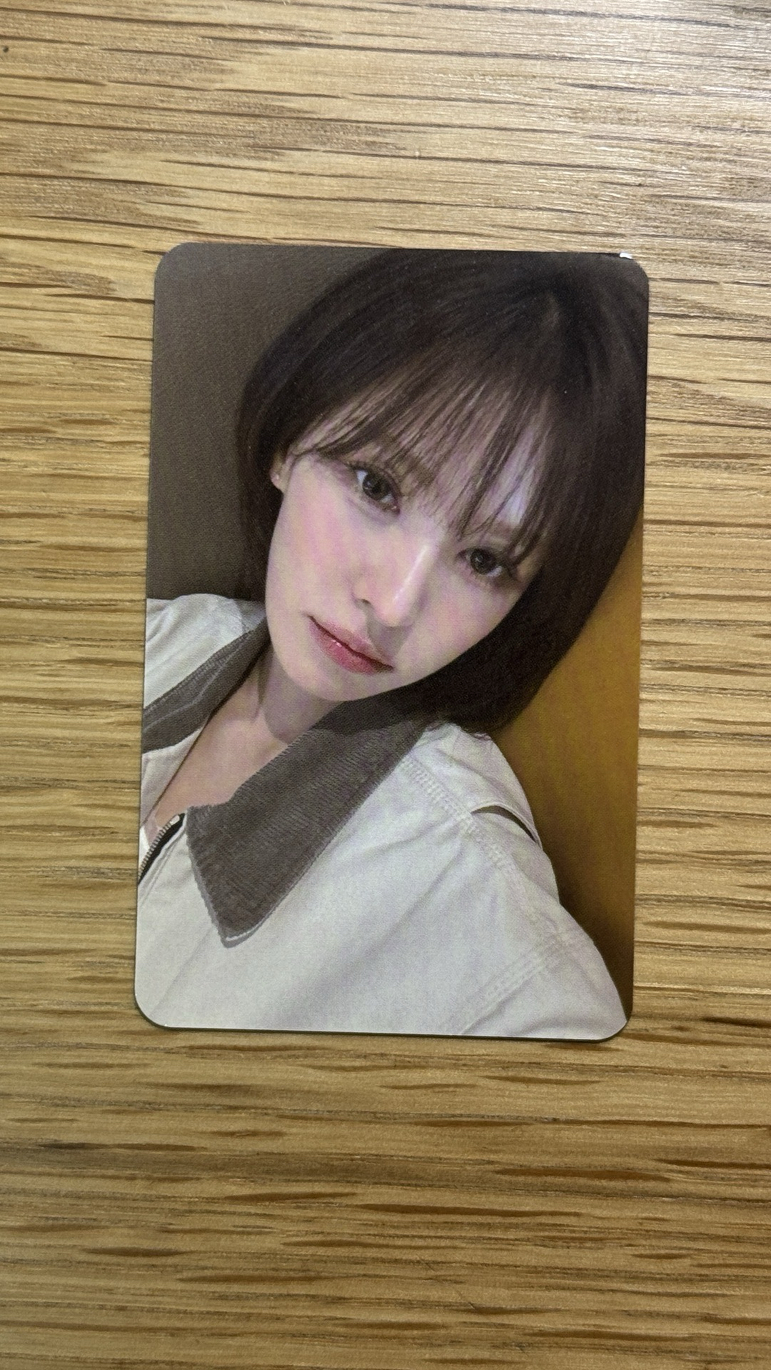 wendy 2026櫻花季小卡