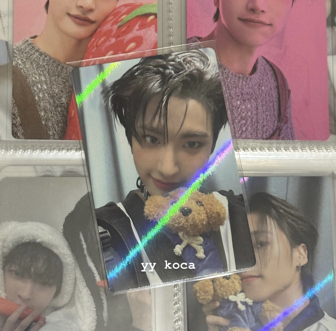 星美通狗狗特典