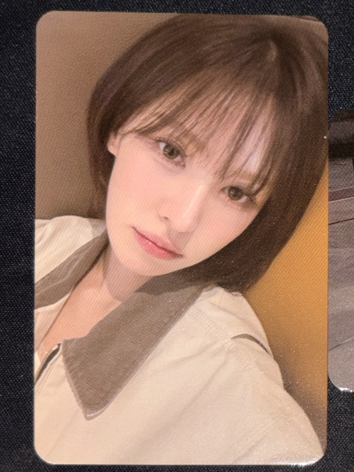 Wendy女神櫻花季小卡🌸