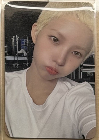 楠藝娟（中背）