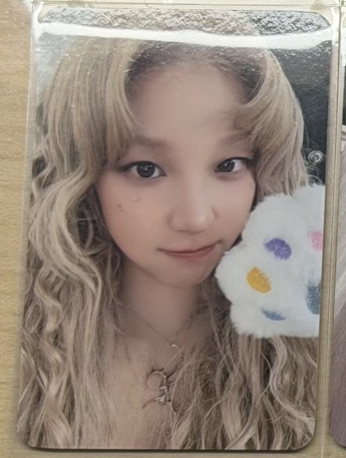 K4貓掌琦（中背）