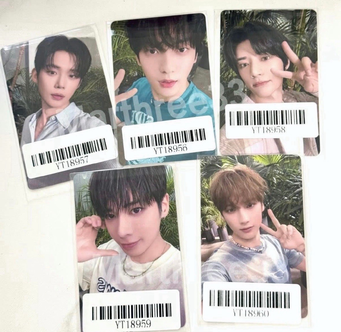 kms2.0一套(錯版卡背）