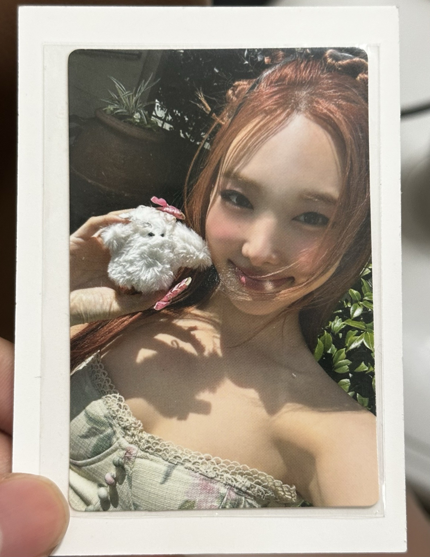 Nalo2 人氣歌謠打歌卡