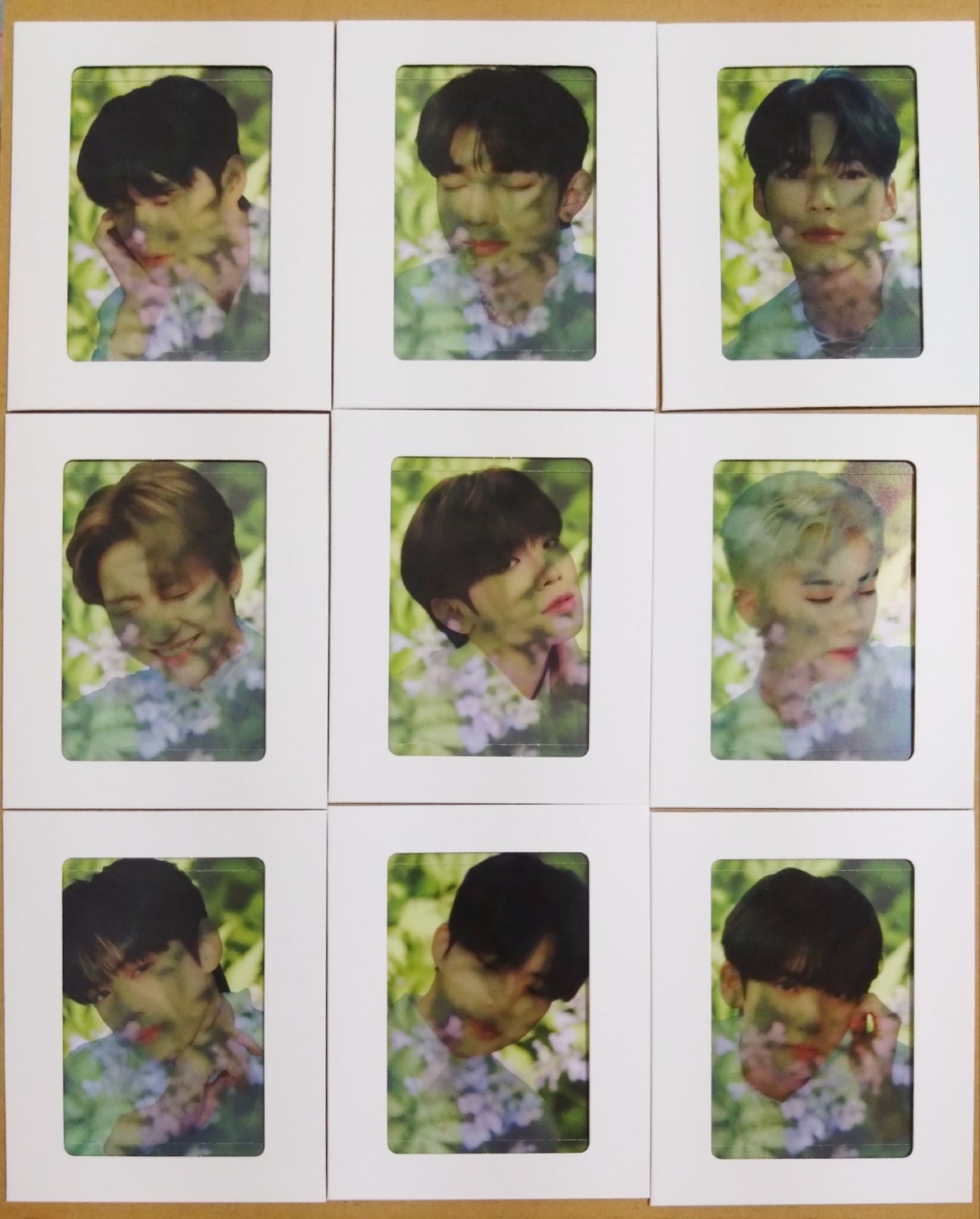 ZB1 | 出道專 大卡 透卡 整套出