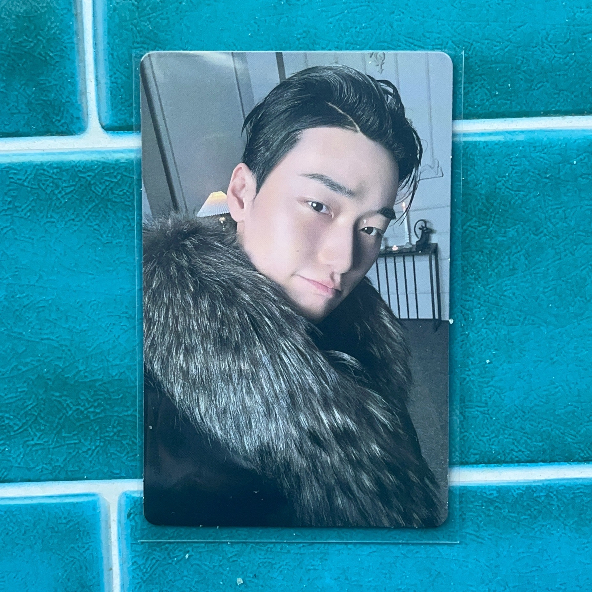 POCA-油頭貓貓（任選3張50）