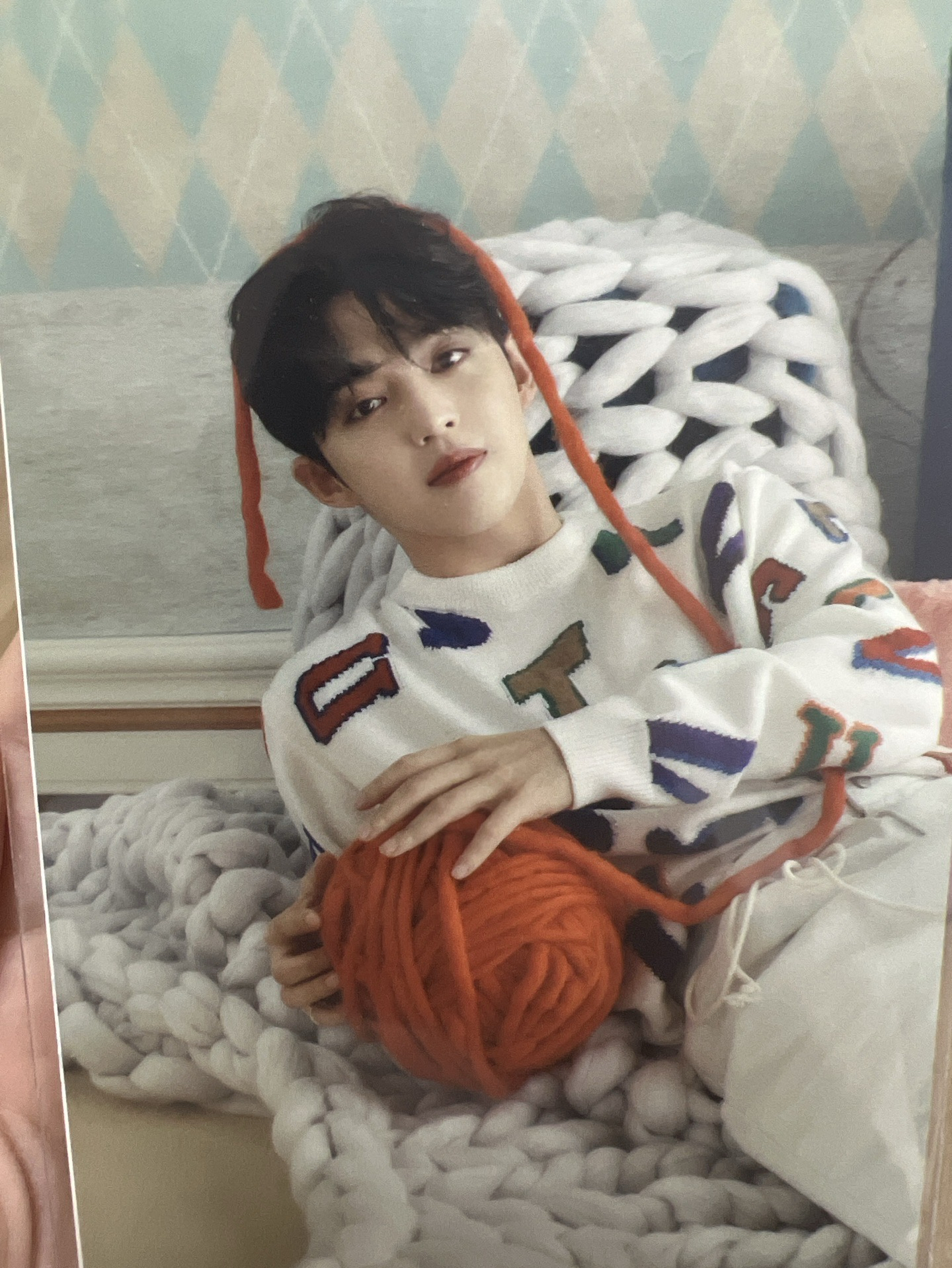 哲 POL 明信片組 