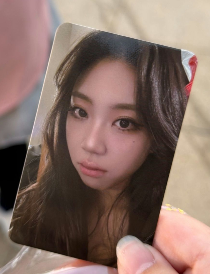 高雄櫻花季-李泳知