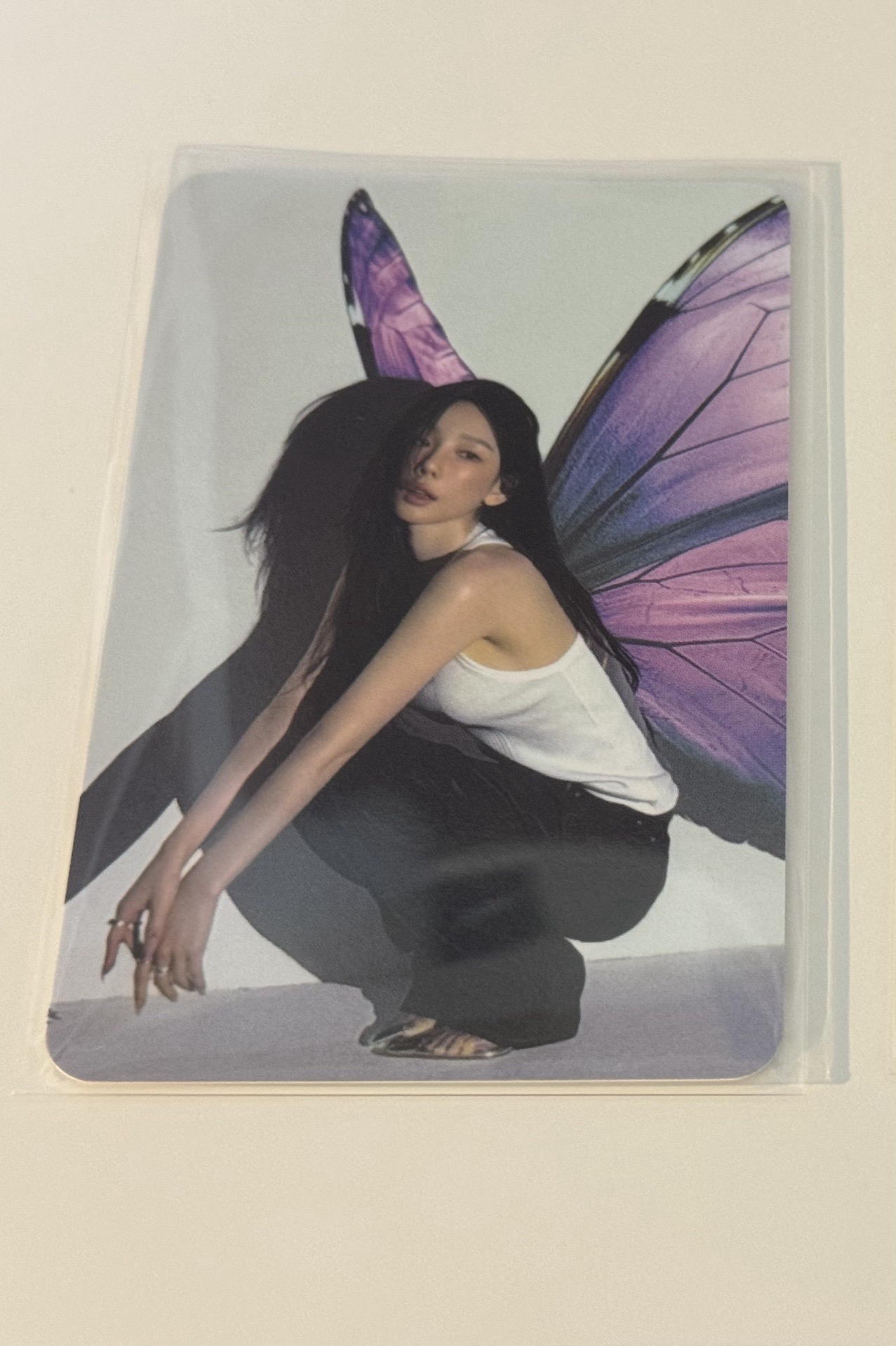 太妍十週年展覽周邊-Time Lapse，Timeless｜蝴蝶