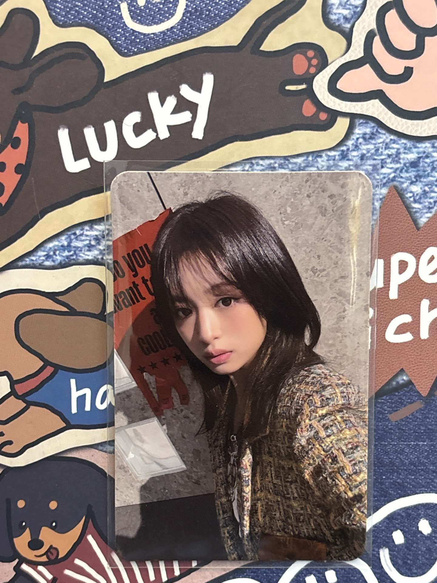 三星賢 中背-萌混券