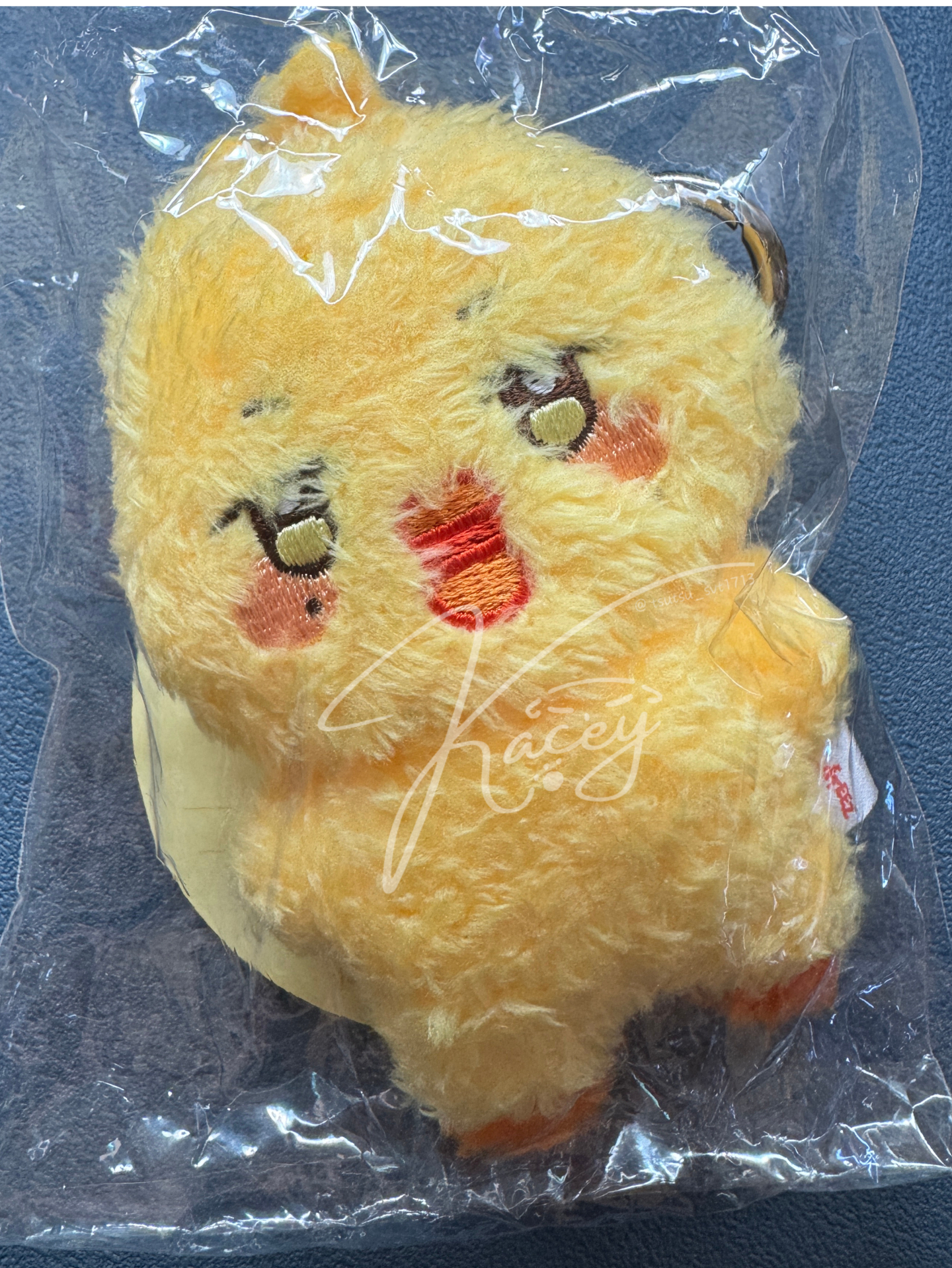ANITEEZ IN TREASURE 吊娃 MINI PLUSH 潦草雞