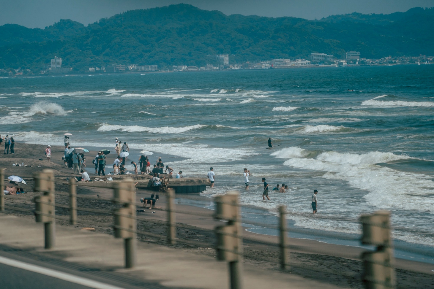 金冬天的小狗🐶