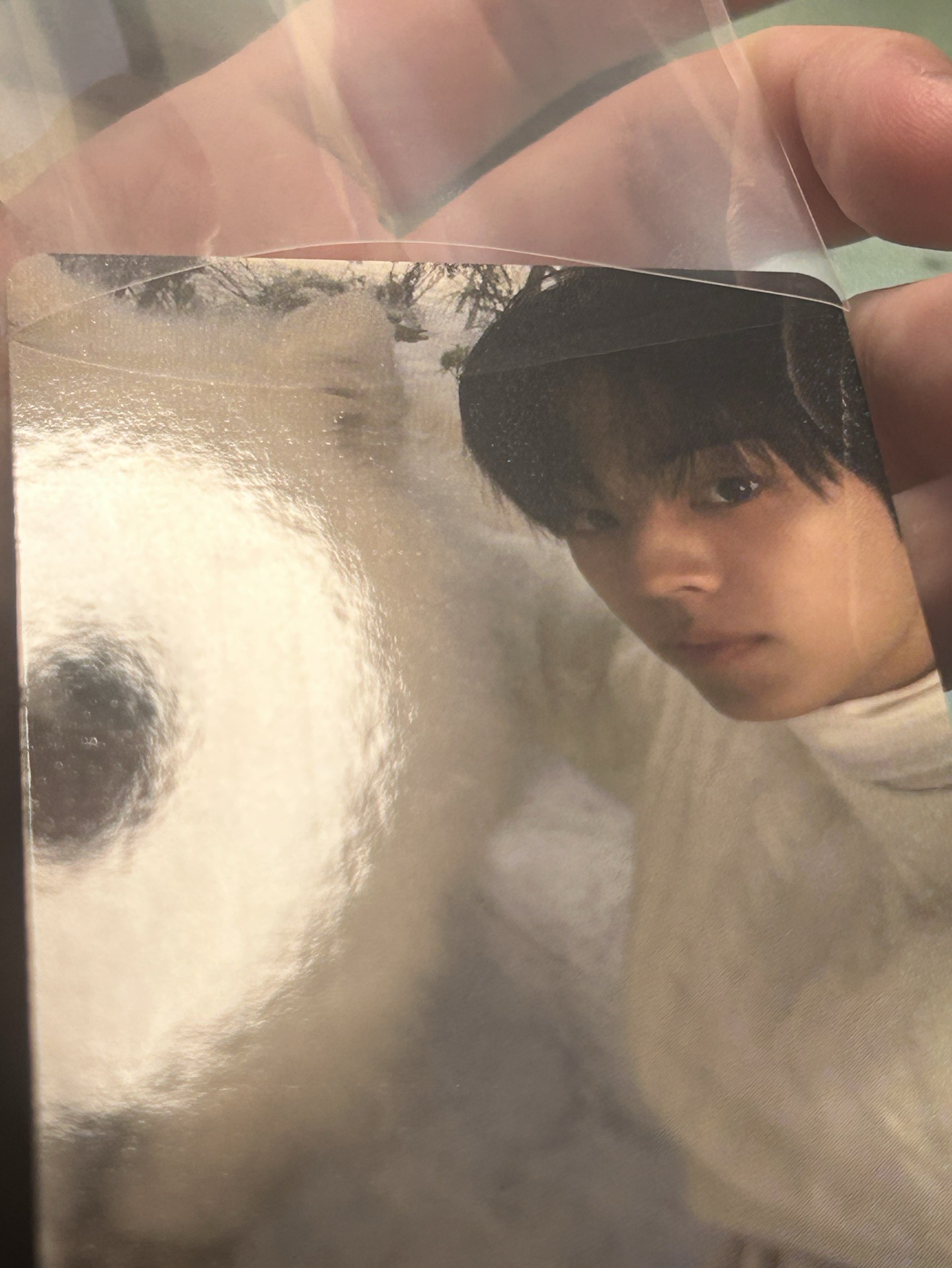 金道勳 last bell 3張