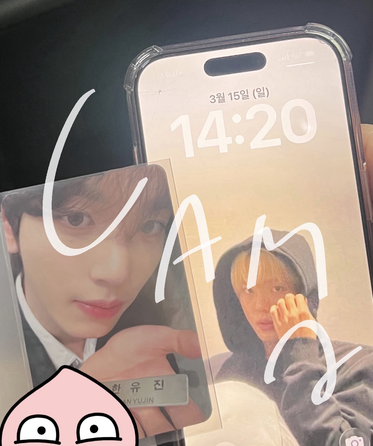 韓維辰🐰入場卡