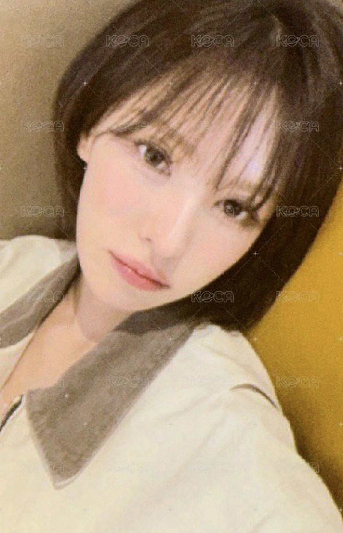 Wendy櫻花季入場卡🌸