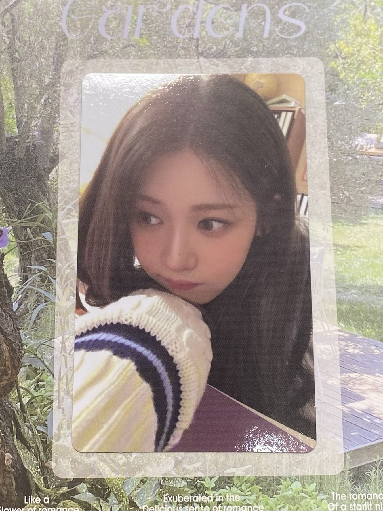 Rora/ DRIP wvs 幸運卡 白色情人節 Ver.A