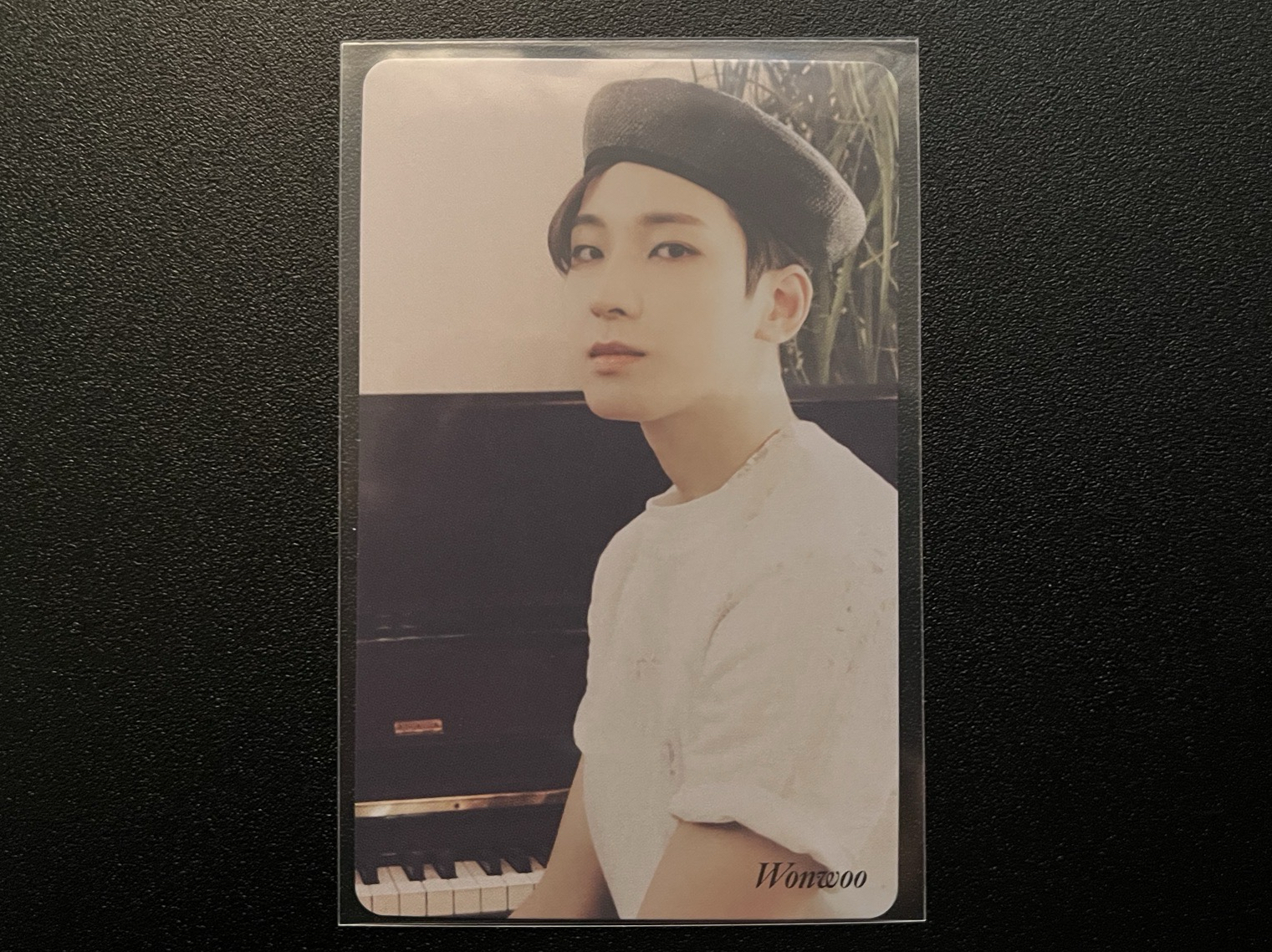 迷八 特典卡 圓