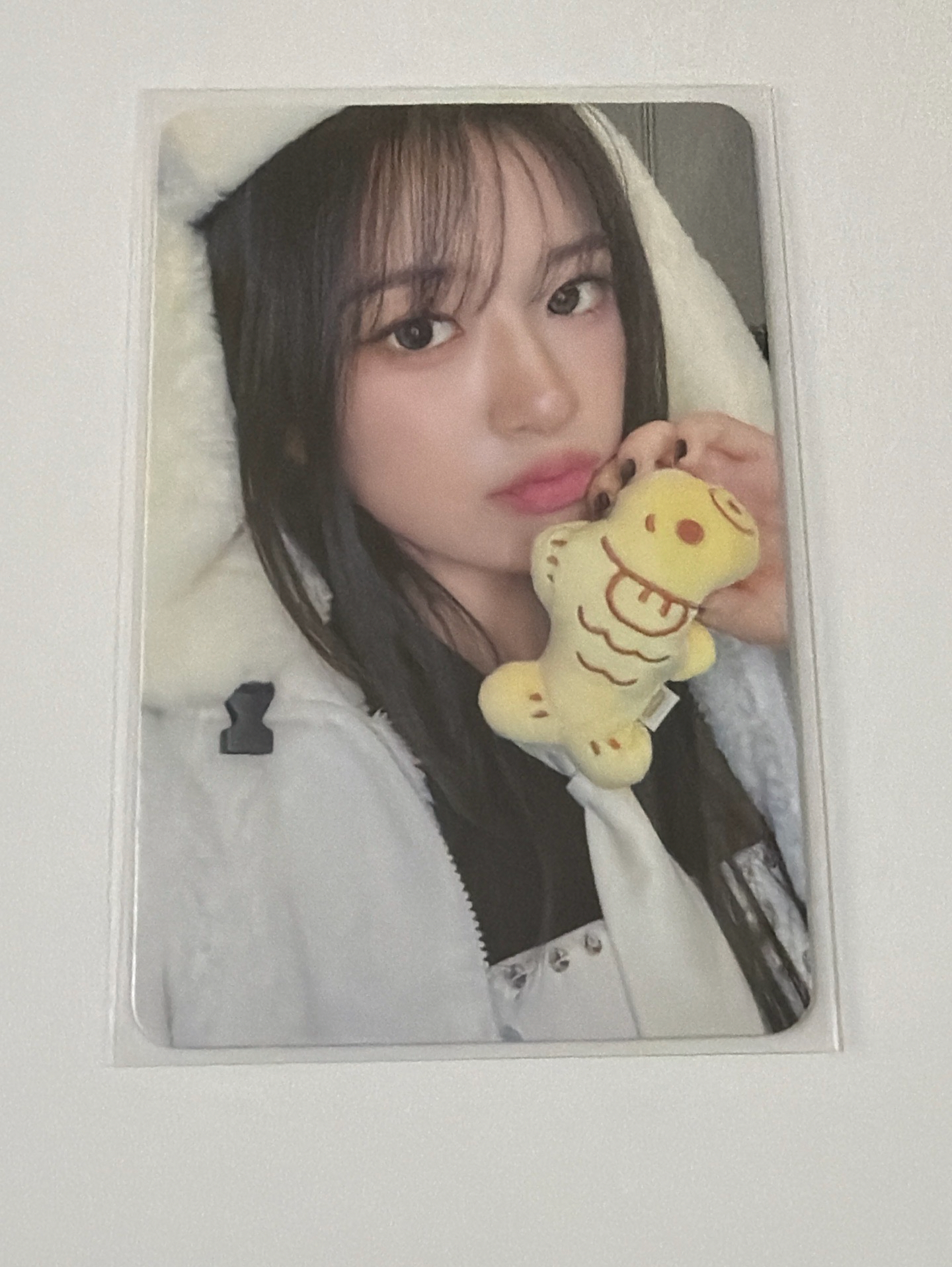 IVE SECRET hl 2.0 簽售卡 鯛魚燒