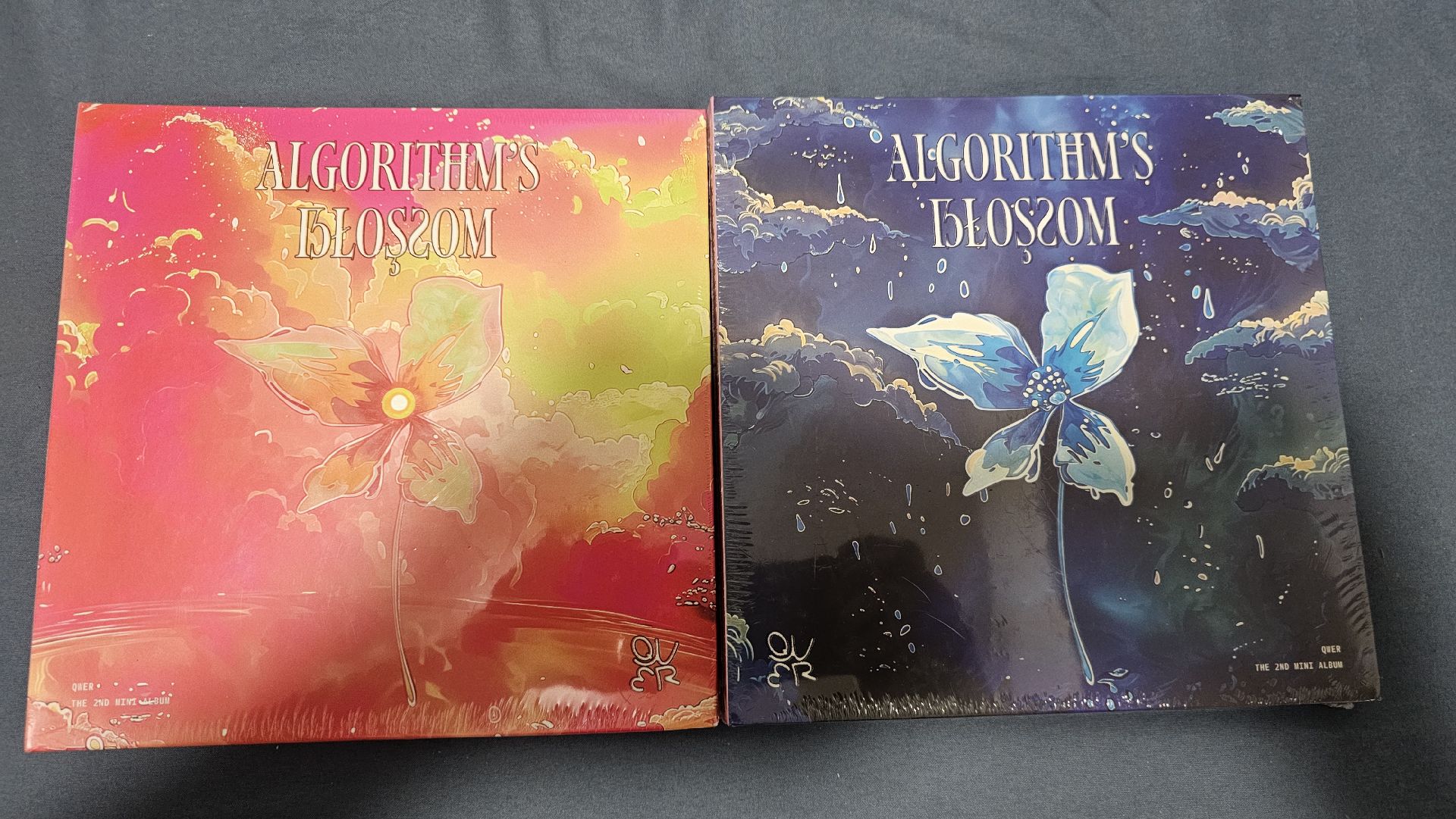 迷二 專輯 一套 未拆 