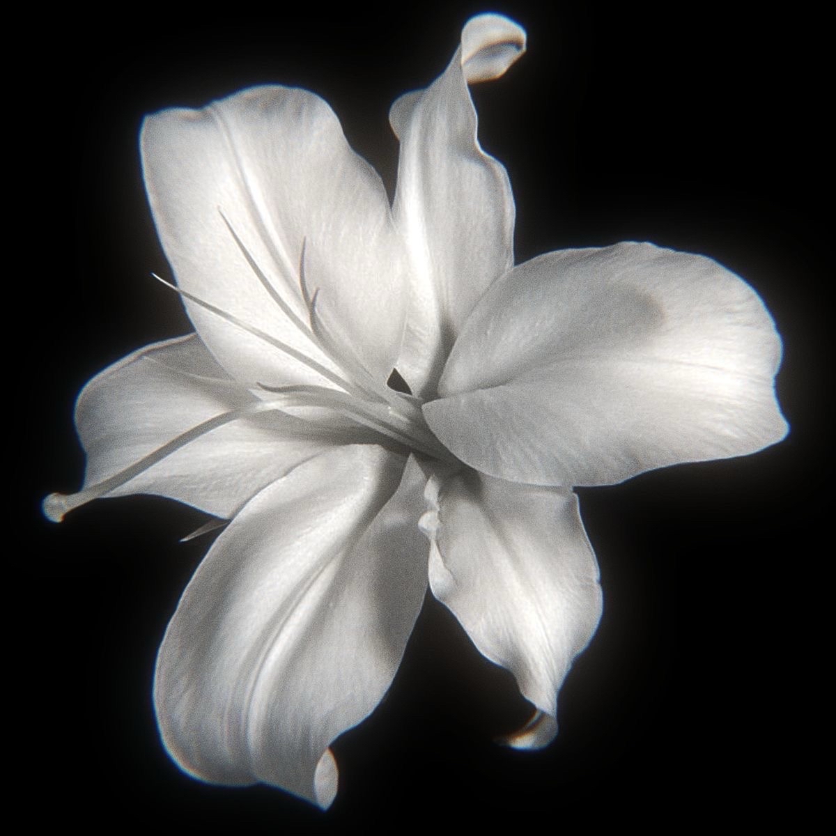 包材加購區🤏🏻🤏🏻