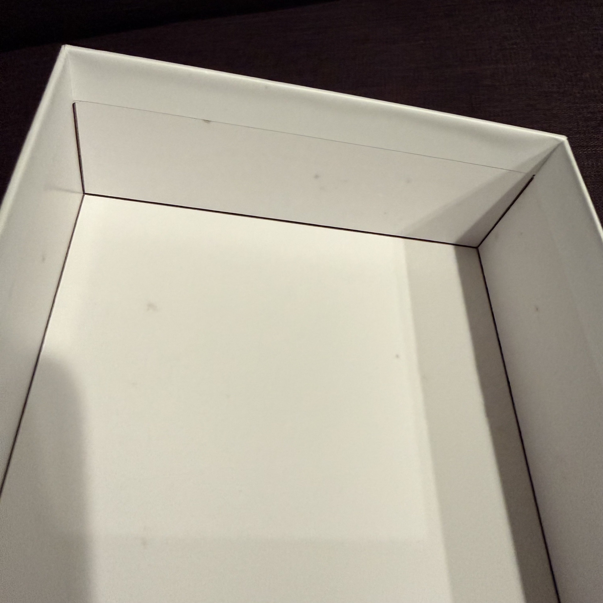 SEVENTEEN｜Artist-Made 熱感應相機