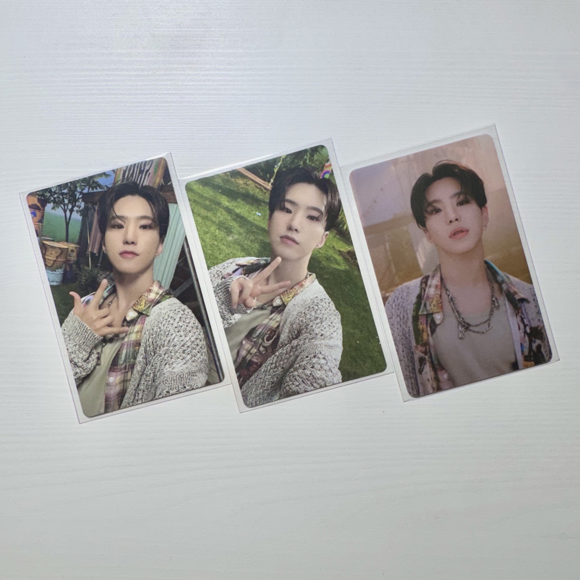 🍓🐯MINI11 ｜順榮 專輯卡 wvs電子專