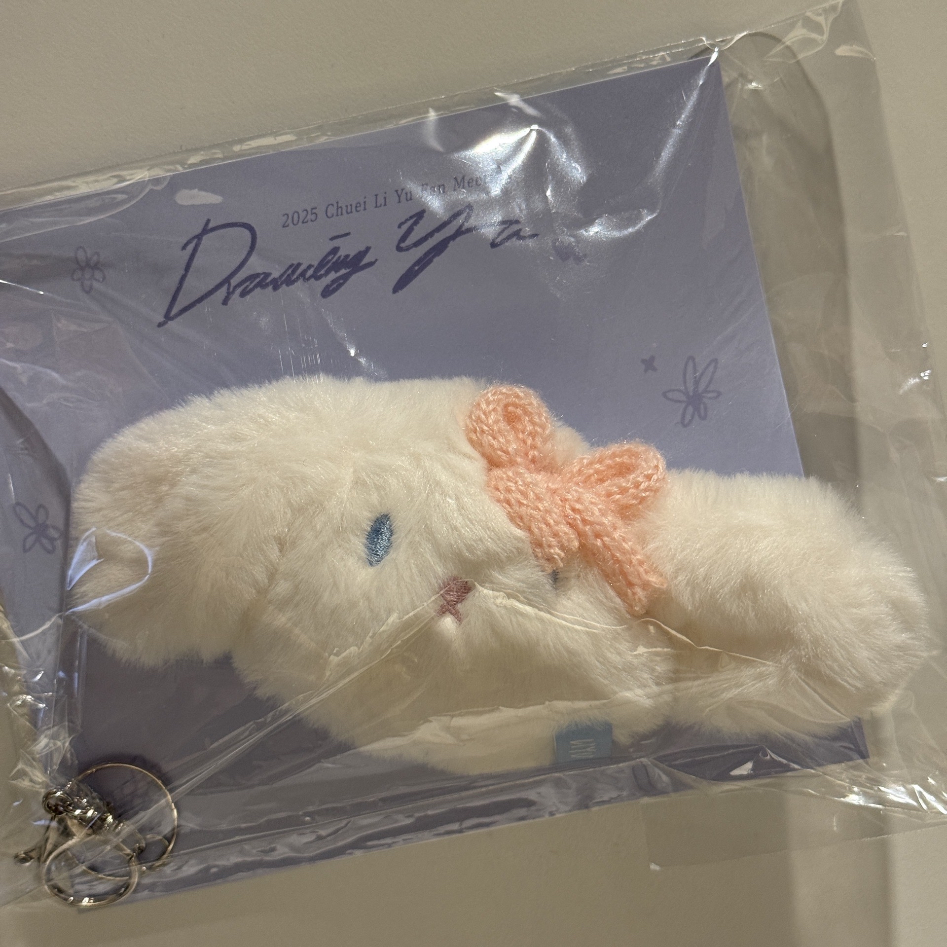 崔立于兔子吊飾